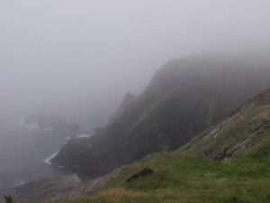 Fog Coast